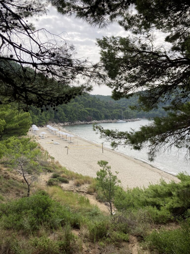 Mljet