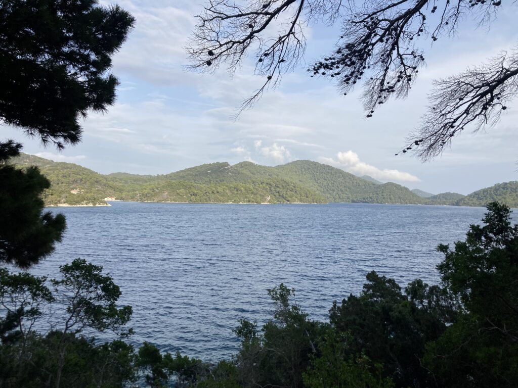 Mljet