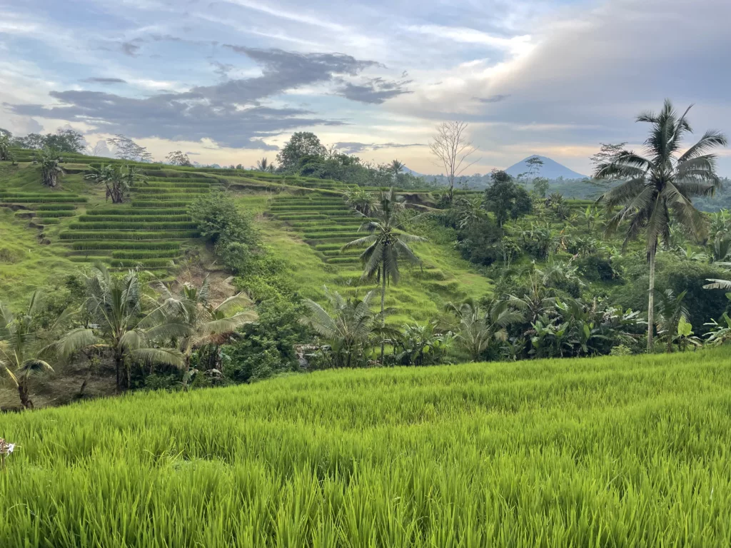 Jatiluwih, Bali
