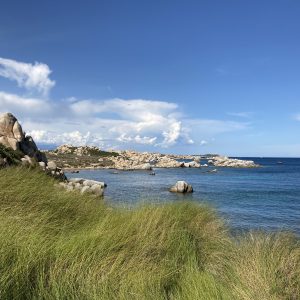 Excursion aux îles Lavezzi en bateau îles Lavezzi