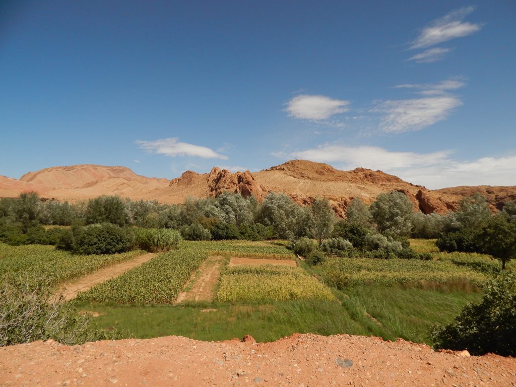 Les Gorges du Dadès
