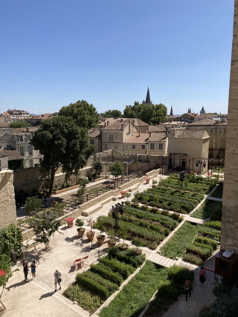Avignon