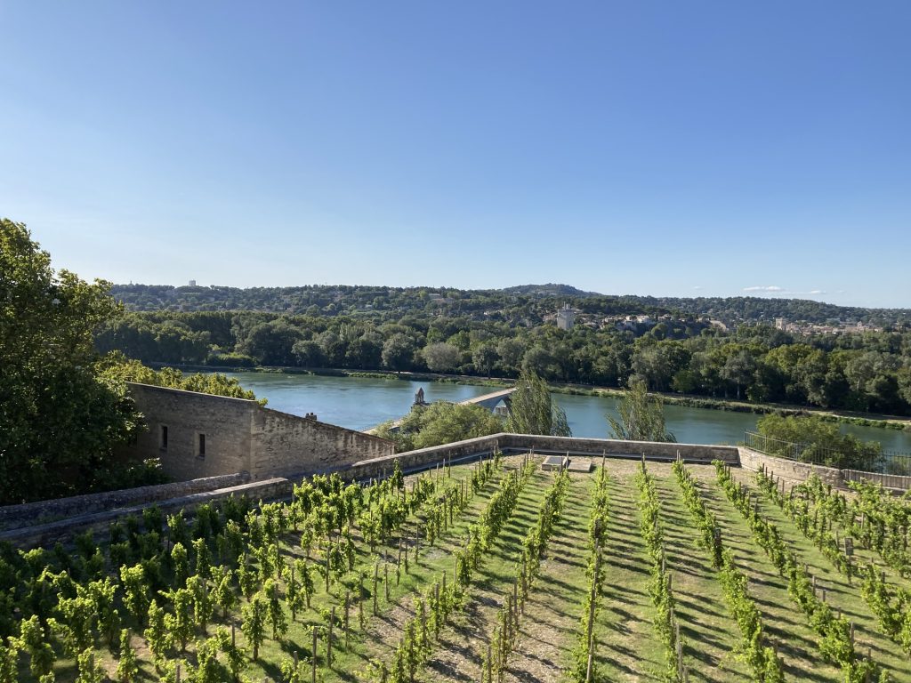 Avignon