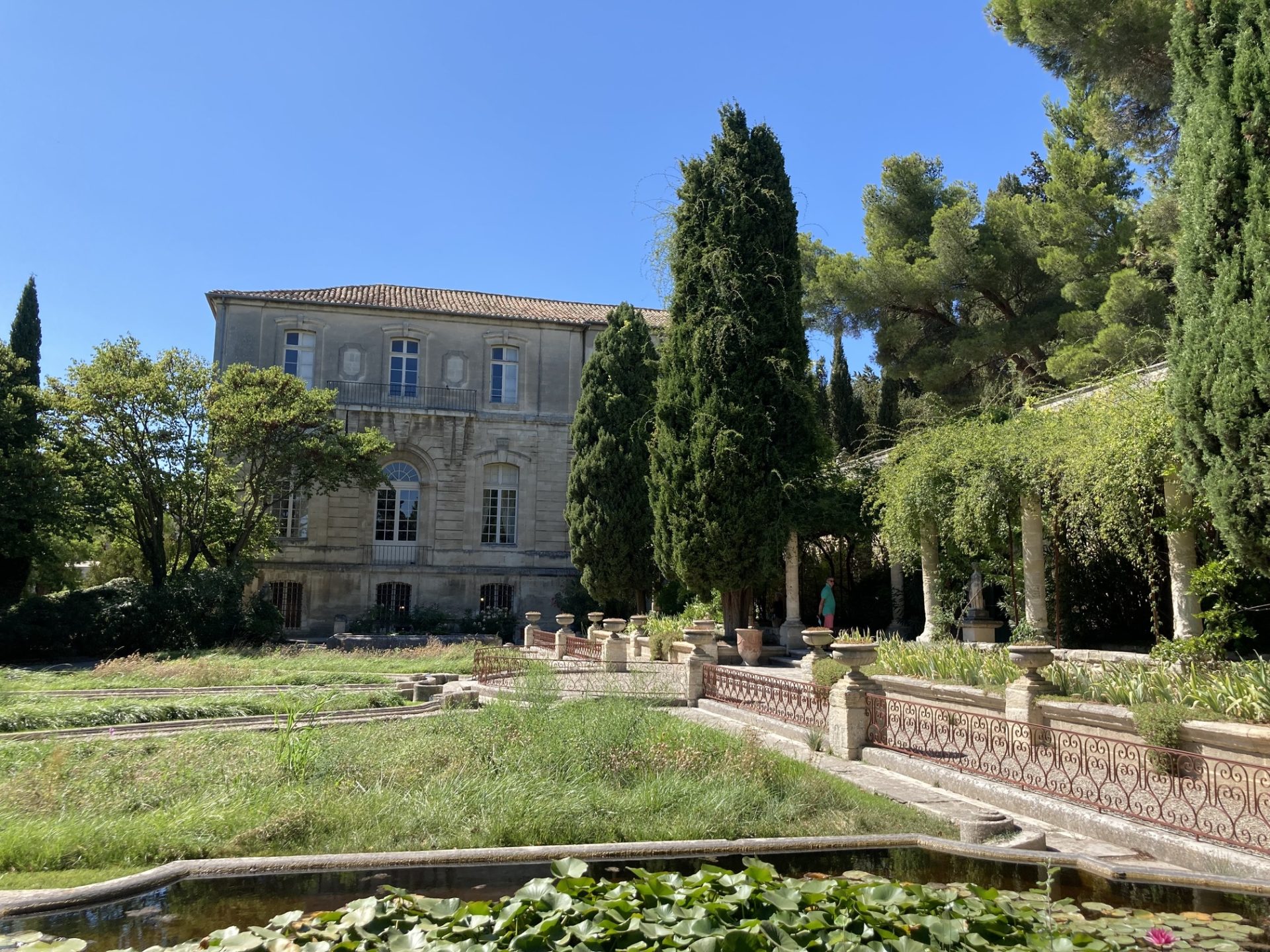 Avignon