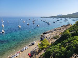 Explorer Porquerolles, l’archipel des îles d’Or original_d11265ff-6568-41a1-9615-24060729f606_20240823_100349