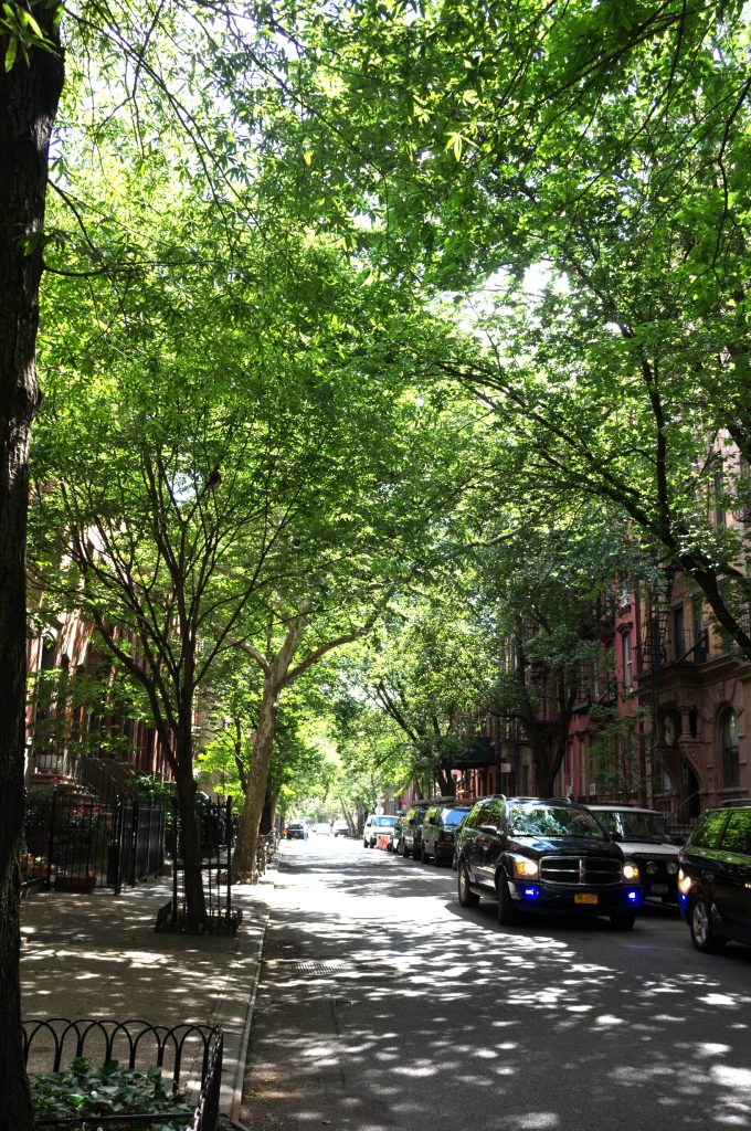 New York