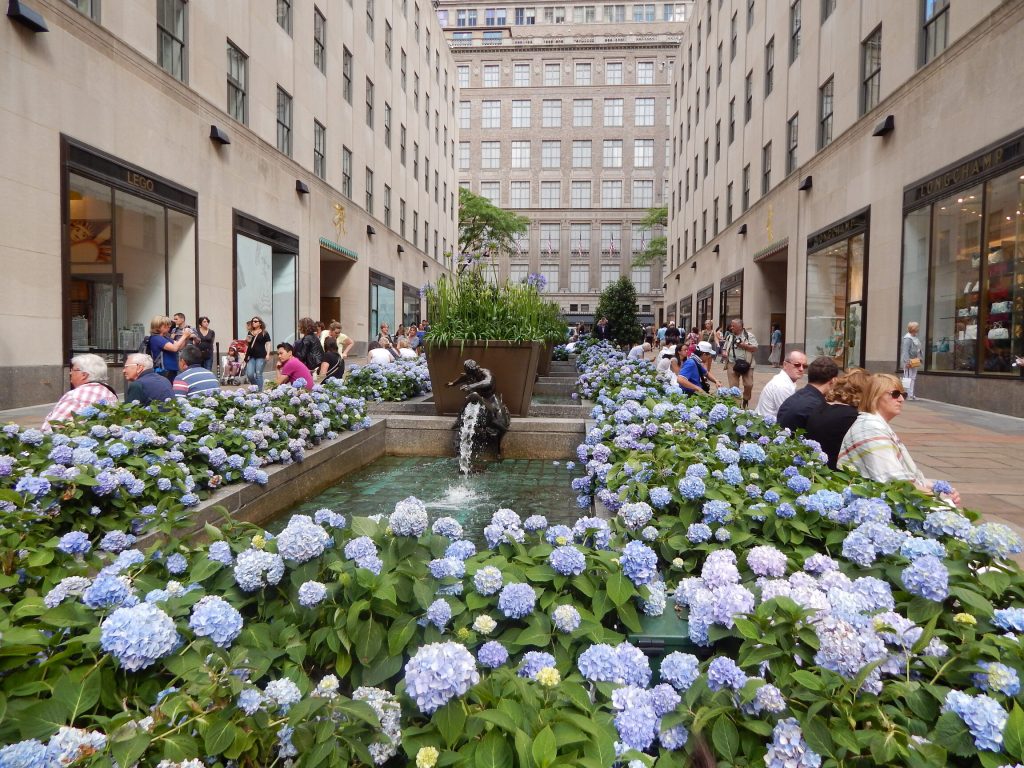 New York