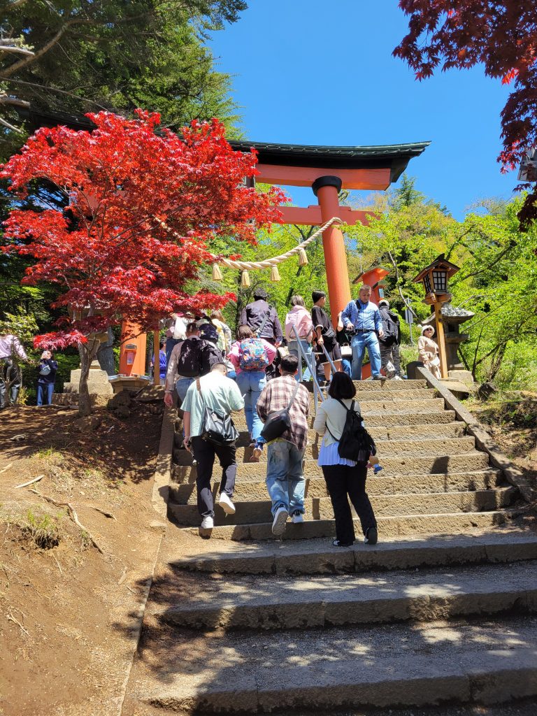 Visiter le Mont Fuji