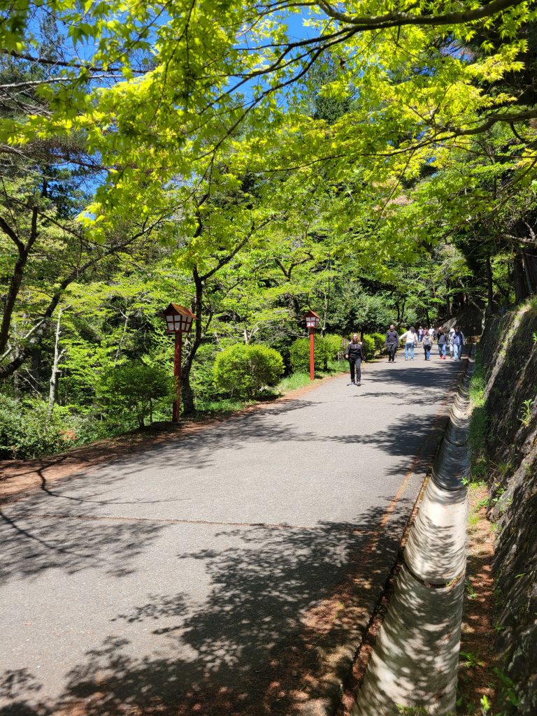 Visiter le Mont Fuji