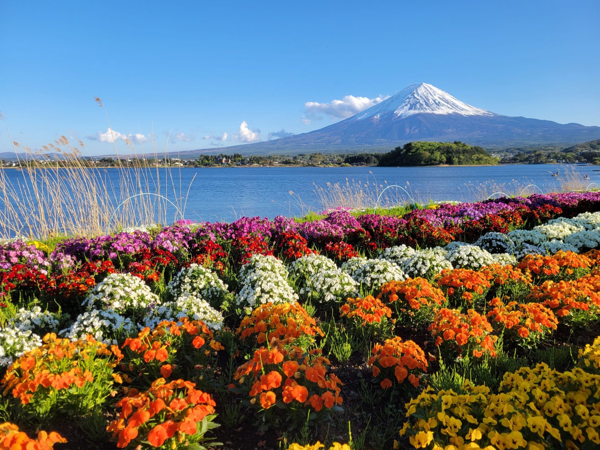 Visiter le Mont Fuji