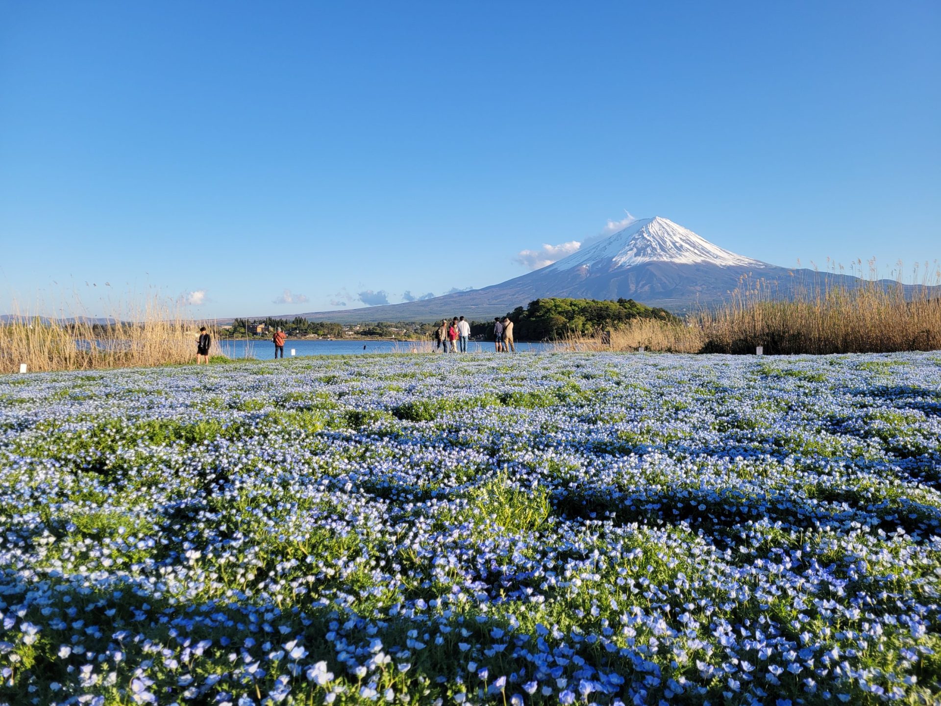 Visiter le Mont Fuji