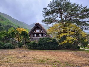 Visiter Shirakawa-go, le village des gasshō-zukuri 20250502_104319~2
