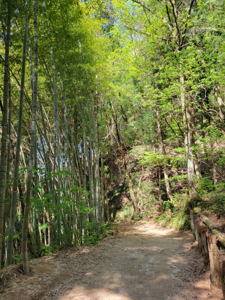Itinéraire 3 semaines Japon