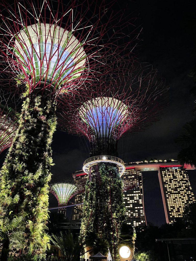 Que faire à Singapour