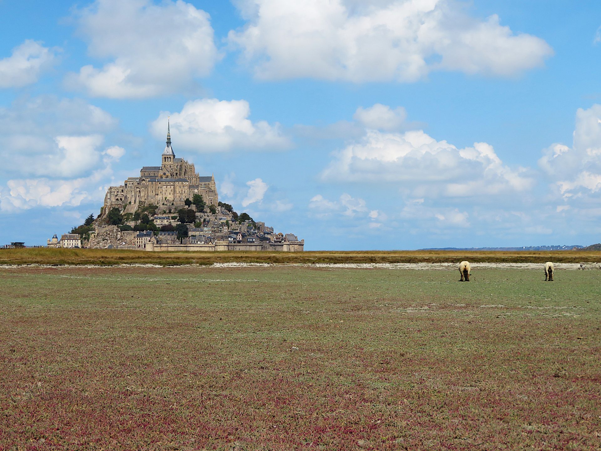 mont saint michel que visiter