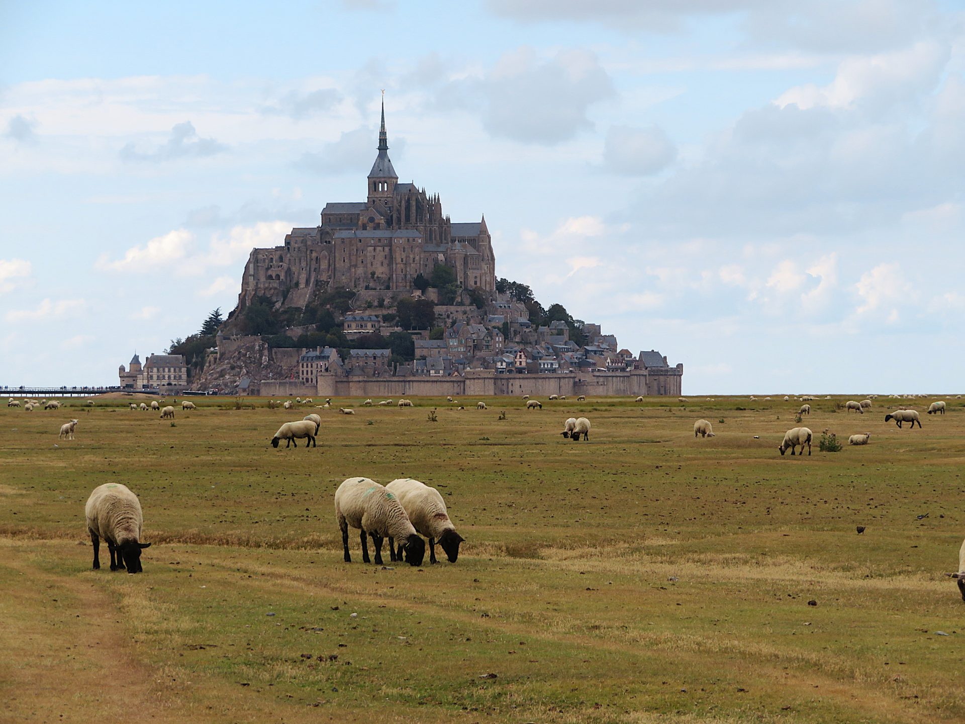 mont saint michel que visiter